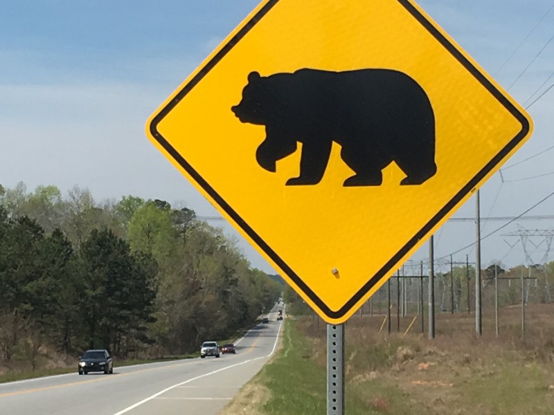 bear crossing sign next to a road