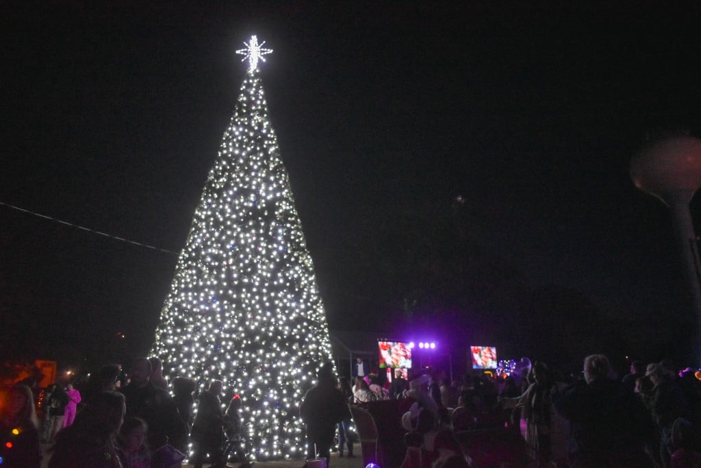 A lighted Christmas tree.