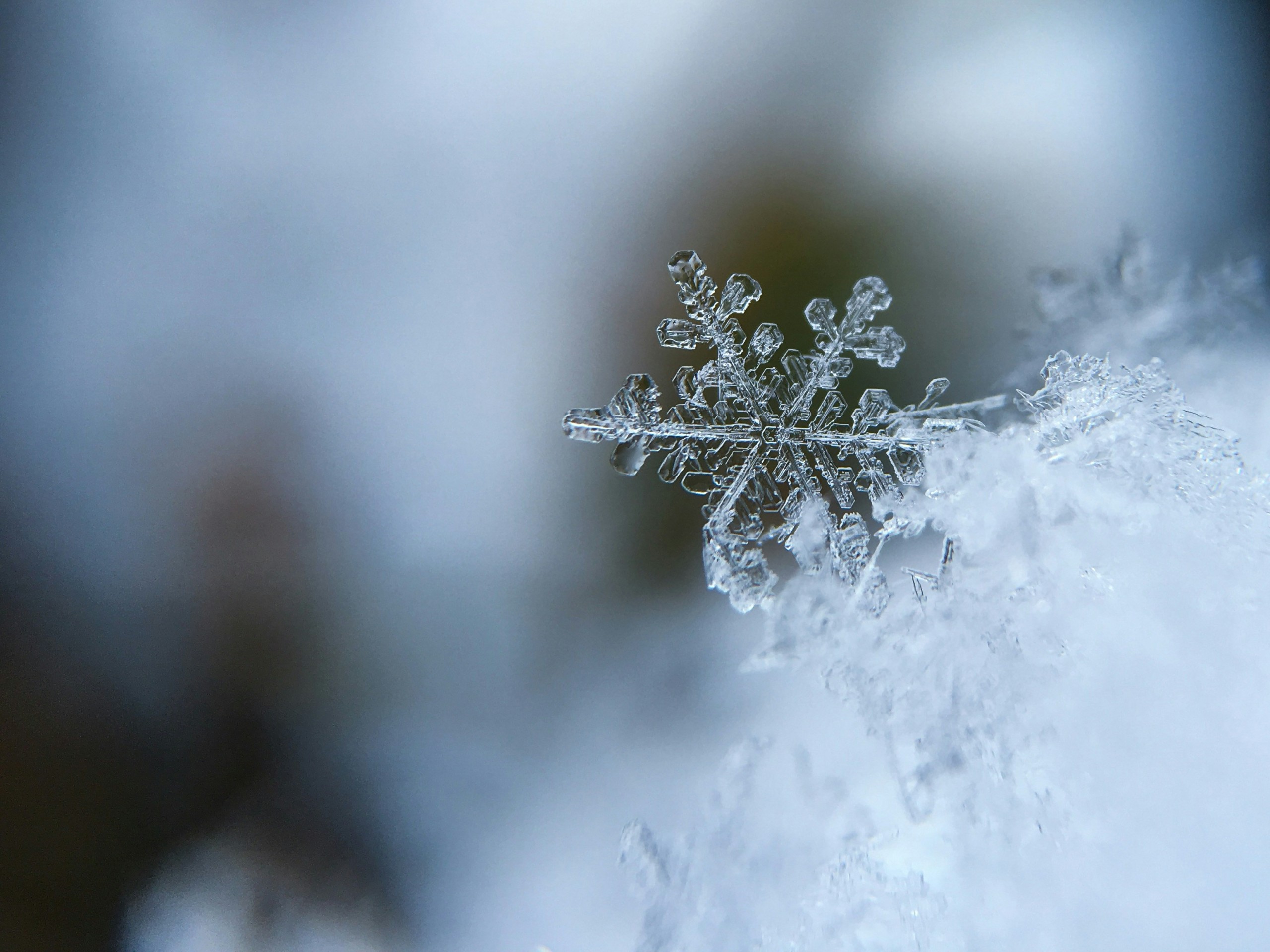 Photo of a snowflake