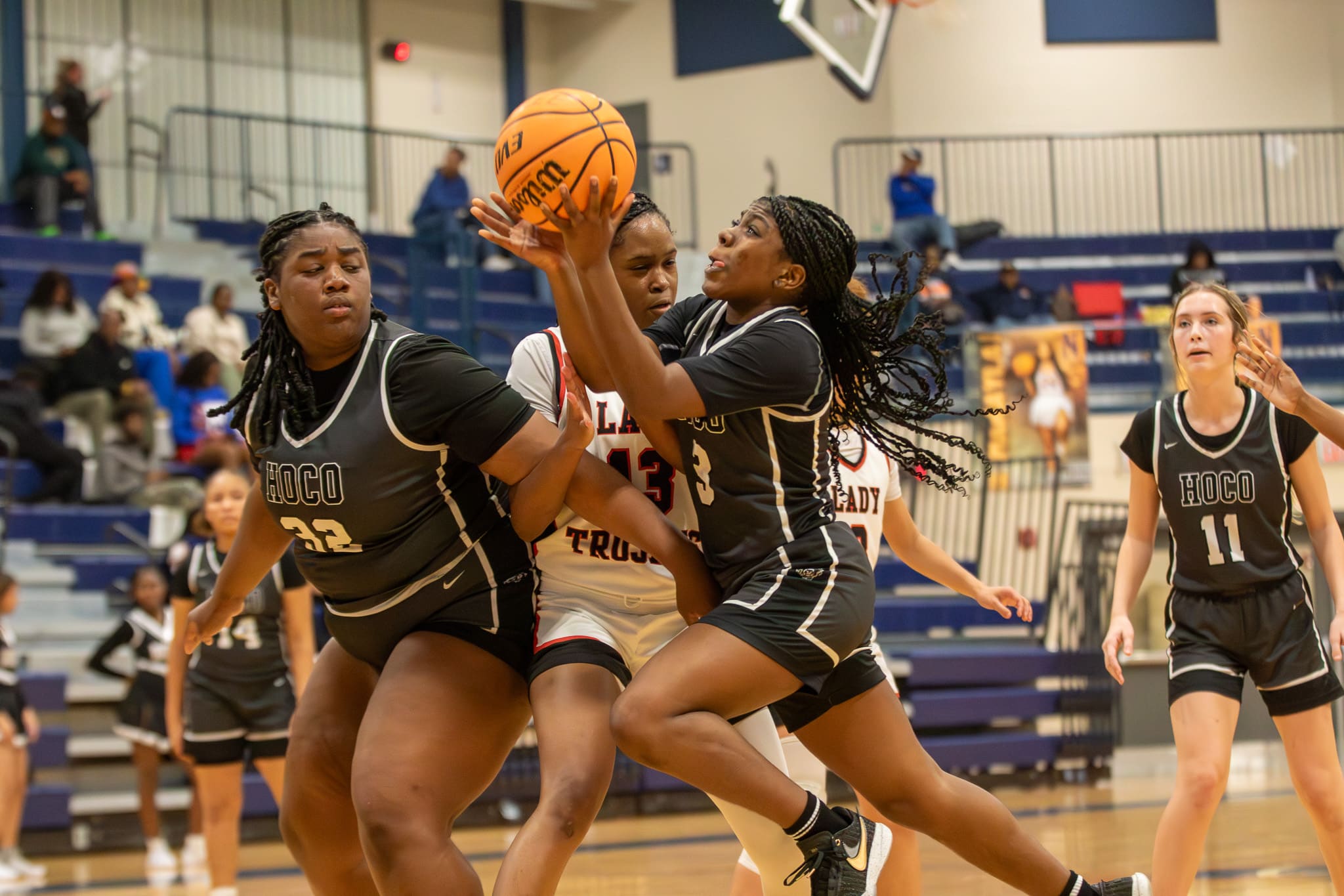 Lady Bears basketball ends their season with loss to Lee County in ...