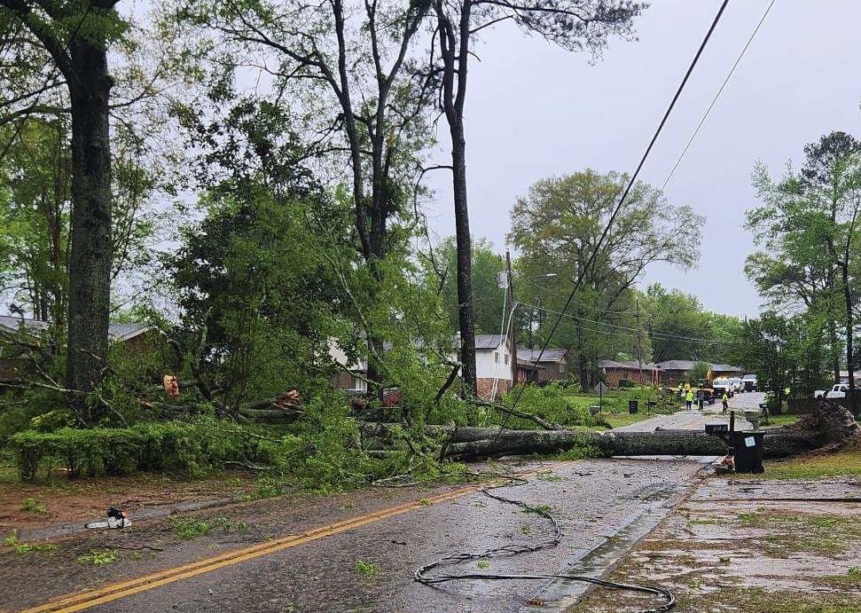 A tree lays in the middle of a roadway with a downed power line underneath. Leaves, branches and various debris are scattered across the roadway.