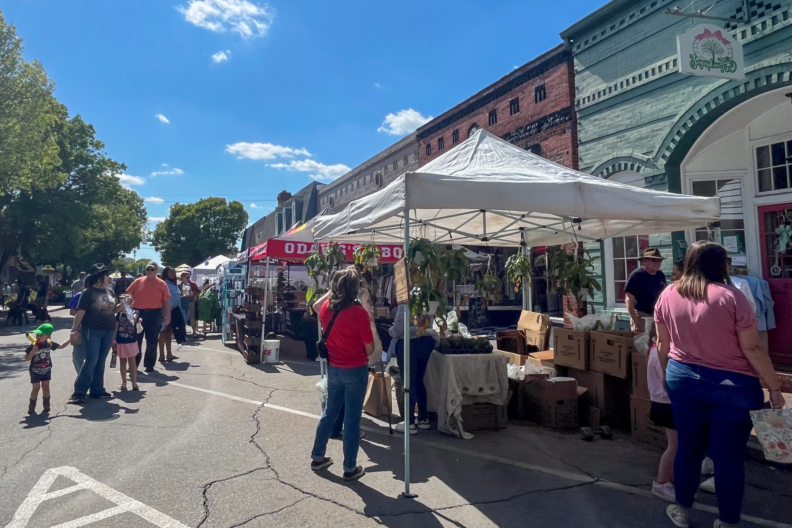 People browse vendor booths and tents along a sunny street at an outdoor festival.