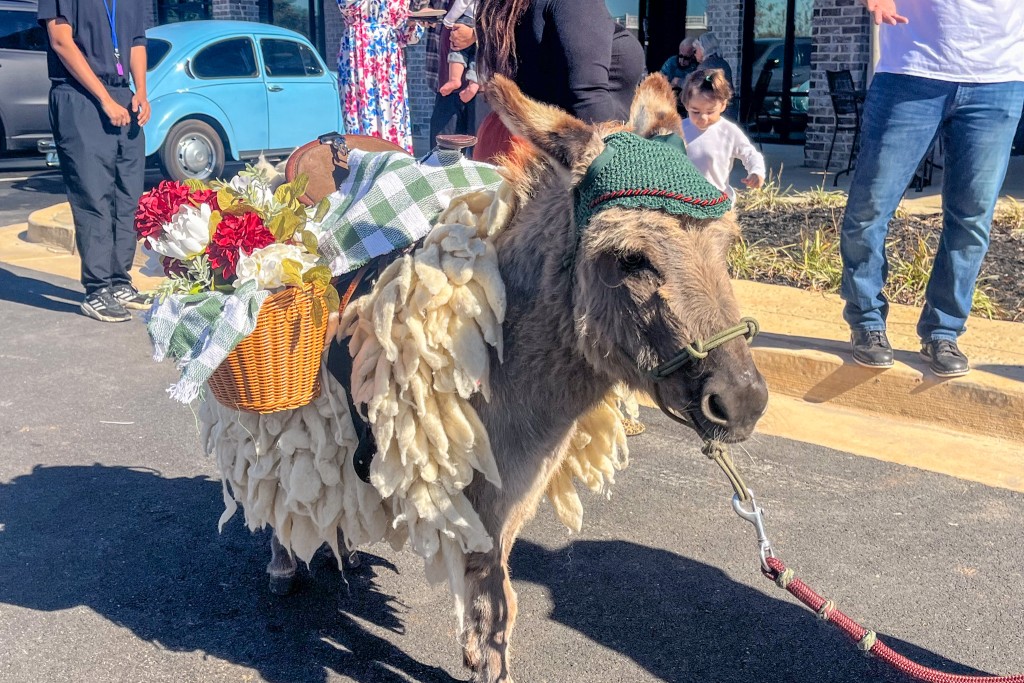 A donkey with a green hat on. It is also carrying a bag filled with flowers.