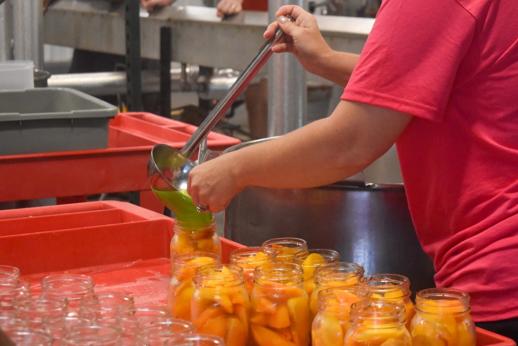 Jars lined up with peaches inside. A person with a red shirt is pouring liquid in the jars.