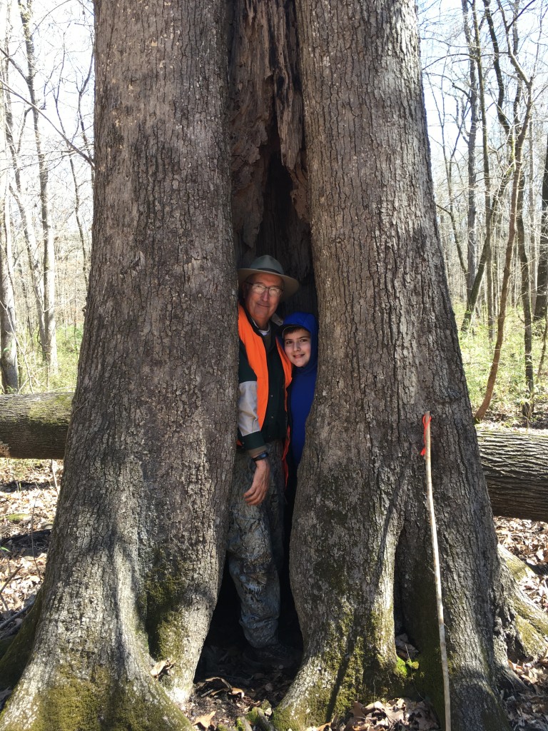 An older man and a boy inside a tree. 