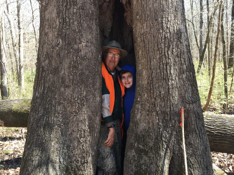 An older man and a boy inside a tree.